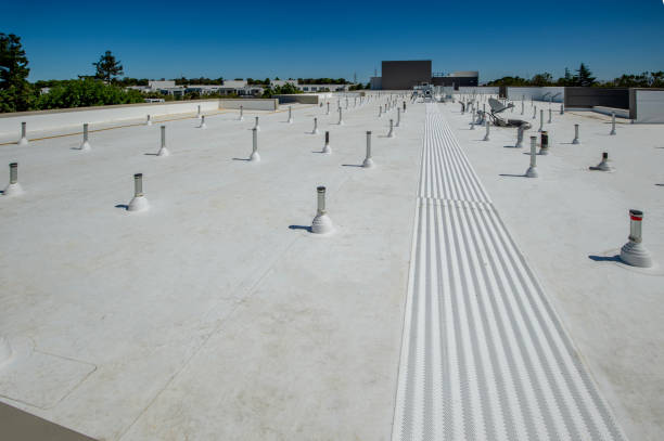 Best Roof Insulation Installation  in Coronita, CA